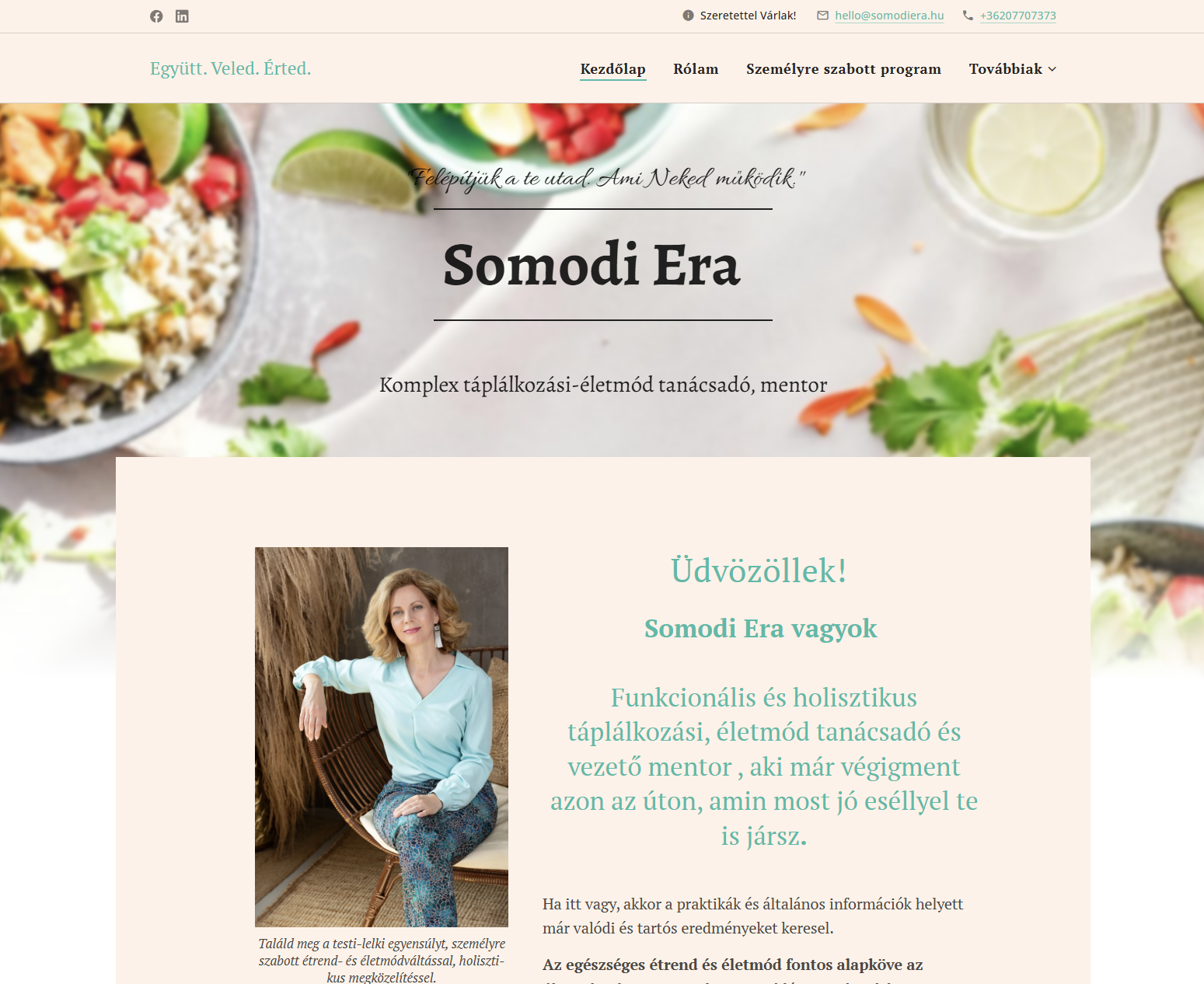 Somodiera projekt
